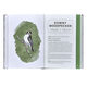 Illustrated Field Guide to Birds Personalized Leather Book Image 4 of 5